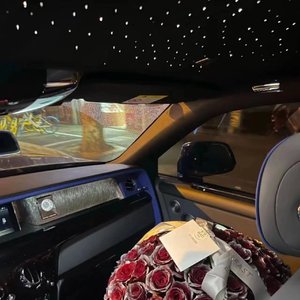 欧美成人在线视频
