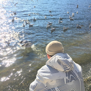 欧美成人在线视频
